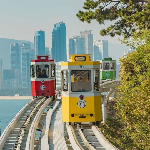 Ngày 4: Busan | Hàn Quốc